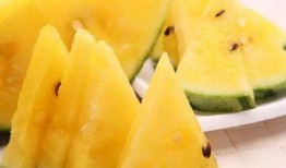 吃瓜黑料 吃瓜黑料精品一区,一区精品内容深度解析