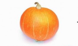 必吃大瓜今日大瓜